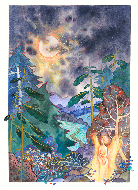 Ночная история