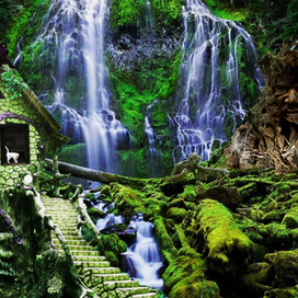 В гостях у сказки