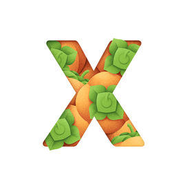 Кириллица 23/33