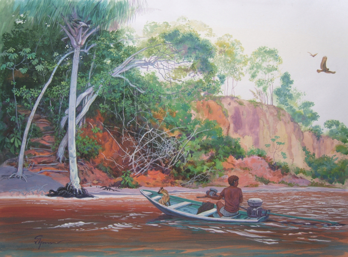 На крутых берегах Риу-Негру. Возвращение в деревню