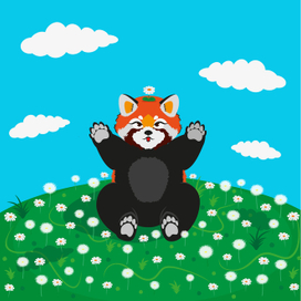 Cute little red panda