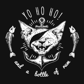 Кот-пират (принт на одежду)