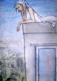 на краю крыши