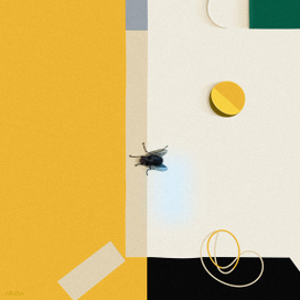 Abstraction and a fly.