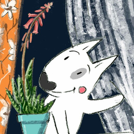 алое цветет