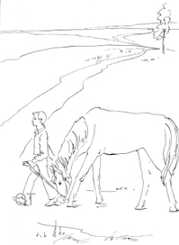 Звезда удачи