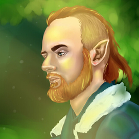 Фентази портрет на заказ