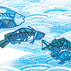 Австралия. Мифы и легенды