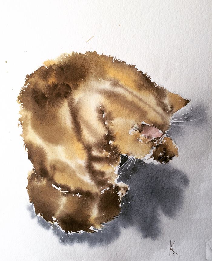 Гостей намывает 