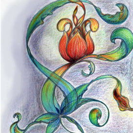 вульвоцвет