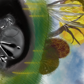 Осенний сон