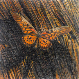 КОЛЛЕКЦИЯ. ПАРУСНИК