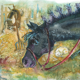 Чёрный конь