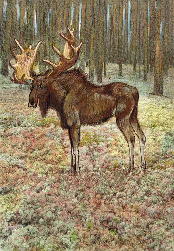 Иллюстрация к детской книге стихов