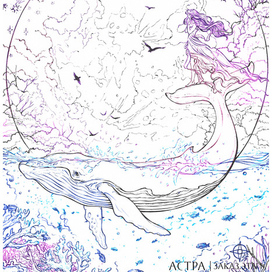 Лунный кит. Этап работы.