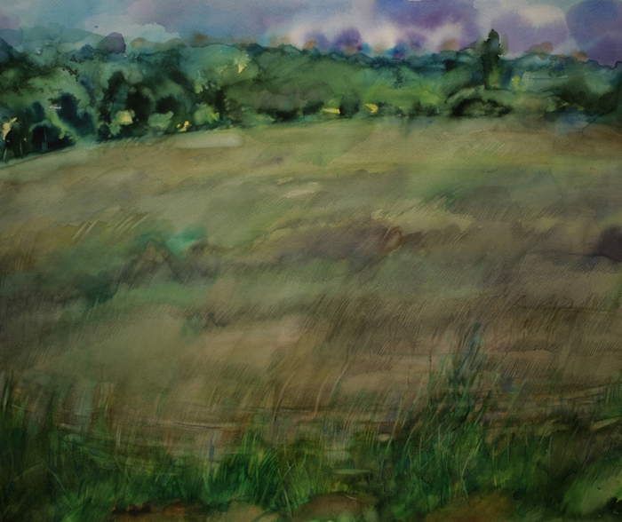 Просто пейзаж