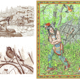 Робин Красная Грудка.