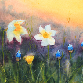 Нарциссы и мускарики