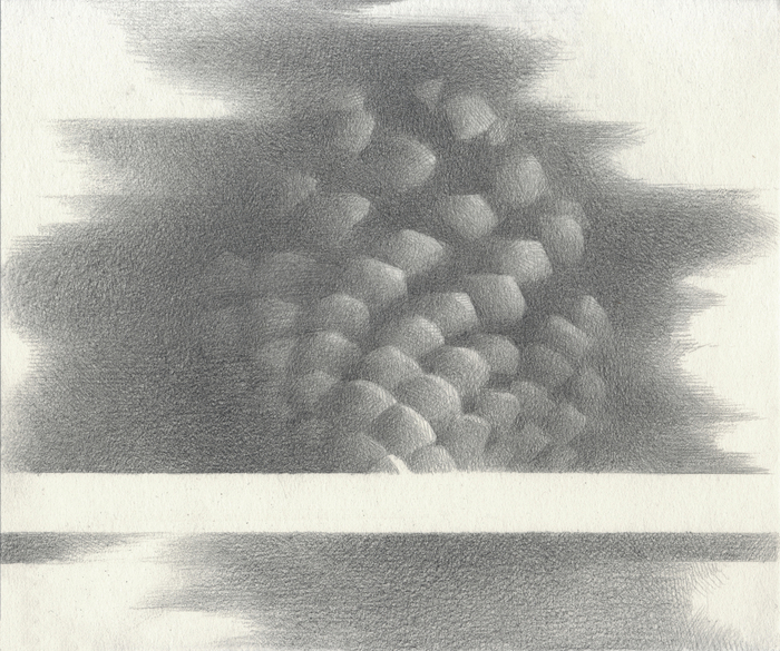 Кедровая шишка