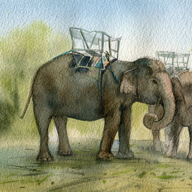 Обед. Из серии Вьетнам.