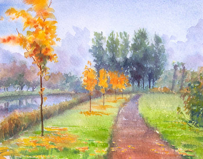 Желтые  клены