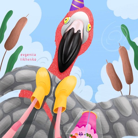 Фламинго - необычный ракурс