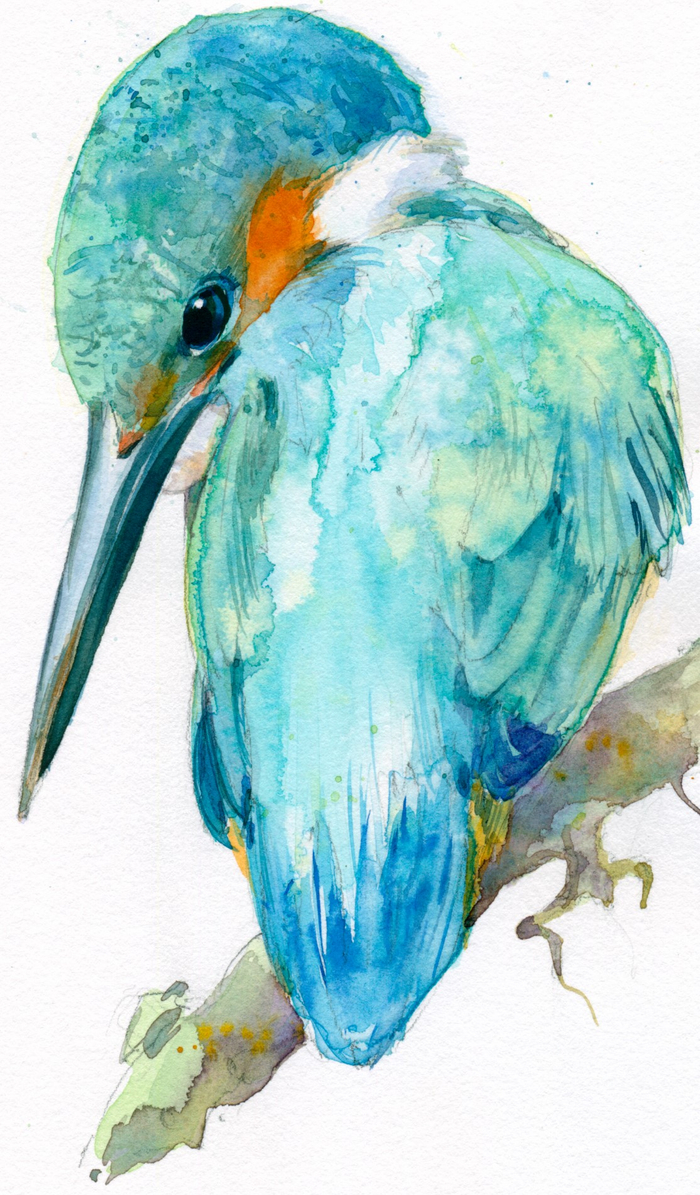 Иллюстрации к «Лесная газета» В. Бианки. Зимородки