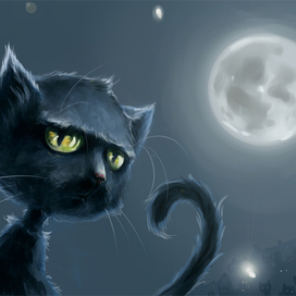 Кошачья сходка