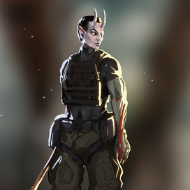 Контрактор