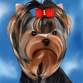 Йоркширский терьер.