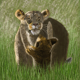 Львица и львенок