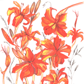 Огненные лилии