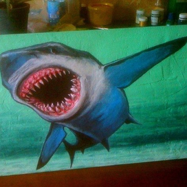 белая акула