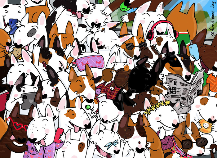 Бультерьеры и кот едут на дачу)