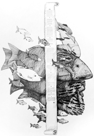 Политическое пространство. Полис и община