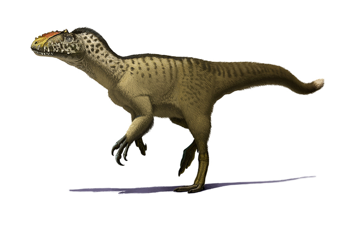 Yutyrannus