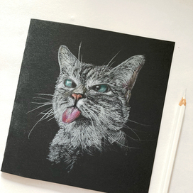 открытка с котиком 