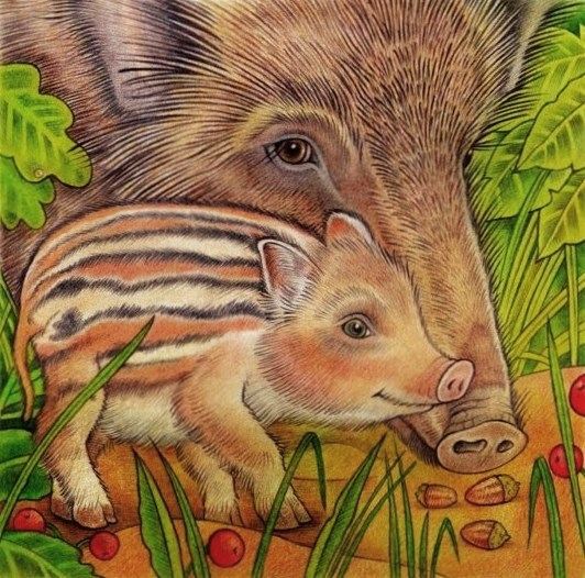 Поросёнок дикий,но симпатичный