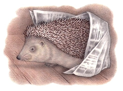 Интересная газета