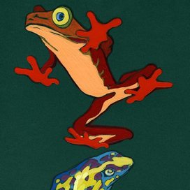 Ядовитые лягушки.