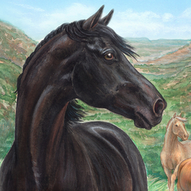 Мустанг-иноходец