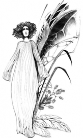 (без названия)