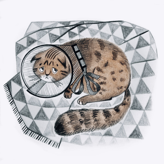 Грустный котёнок Яшка