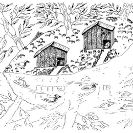 Утиный остров