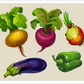 Иллюстрация к учебнику