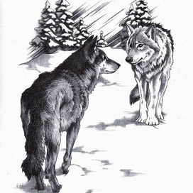 Молниеносный. 2-2