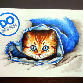 Котенок и джинсы)))