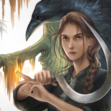 Обложка книги "У ворона две жизни"