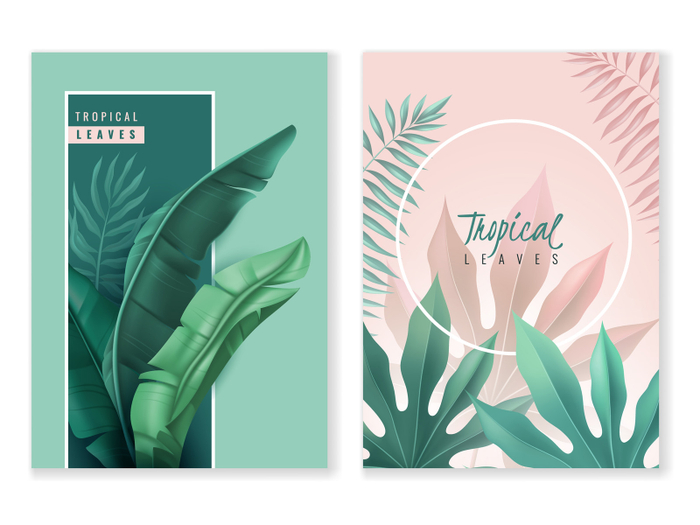 Tropical leaves