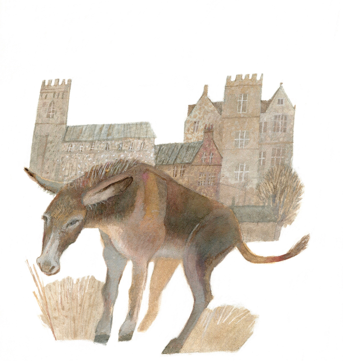 Ослиная шкура